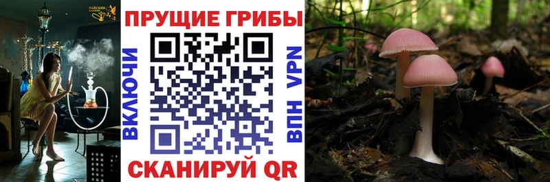 Галлюциногенные грибы мицелий  Мариинск 